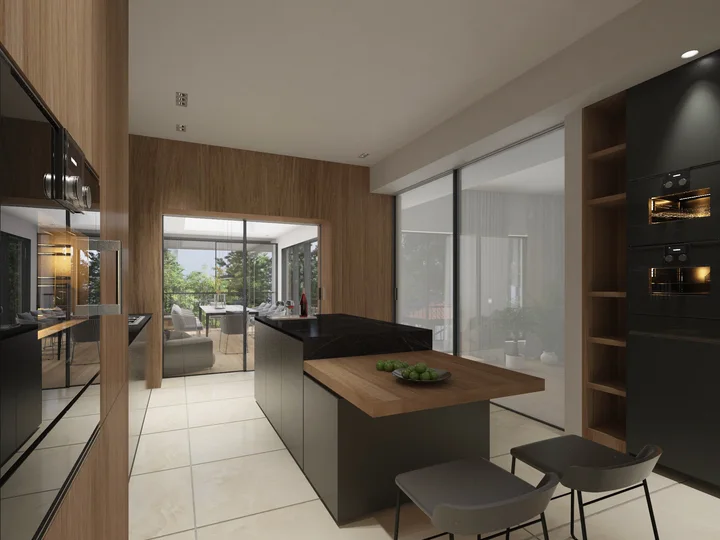 House Reconstruction in Tskneti — Visualisations